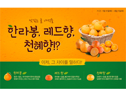 맛있는 귤전